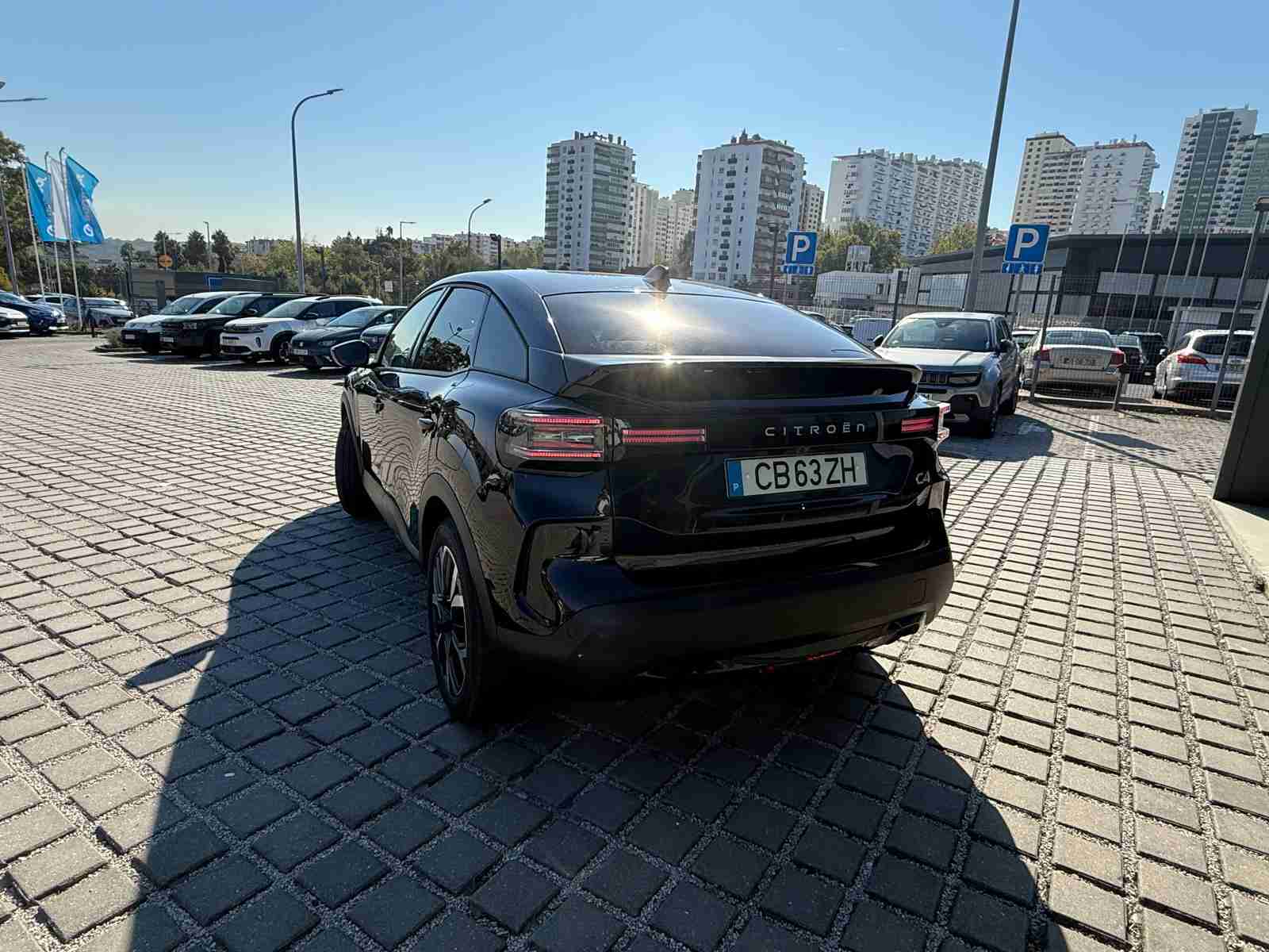 3104579_5
