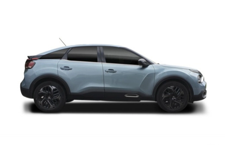 fotocat_35967_24035155