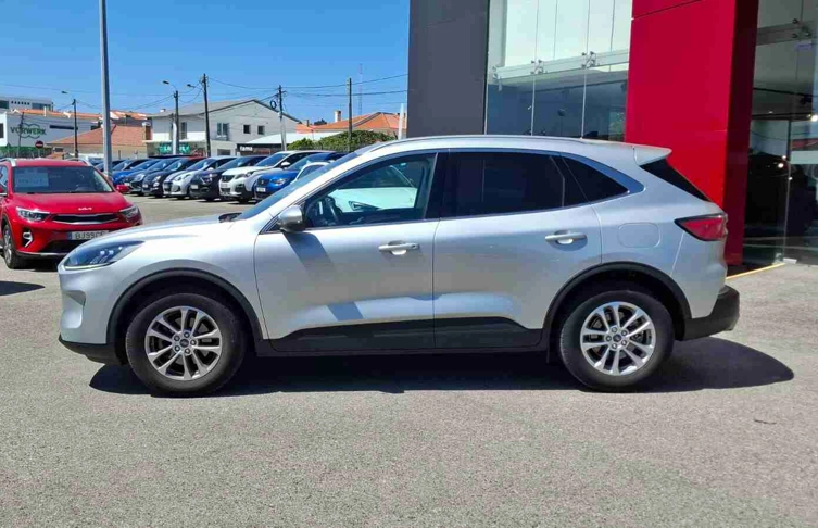 foto_2991594_26225300