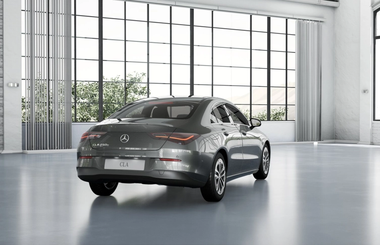 foto_2981176_26215158