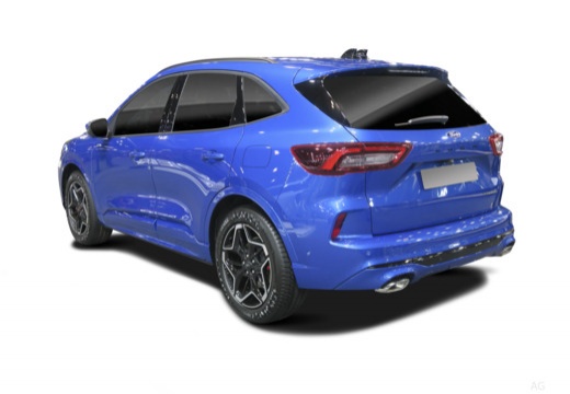 fotocat_53366_23679941